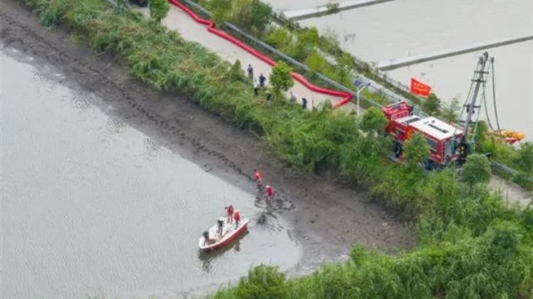 廣東茂名一養殖場多條鱷魚暴雨中出逃  已抓回36條