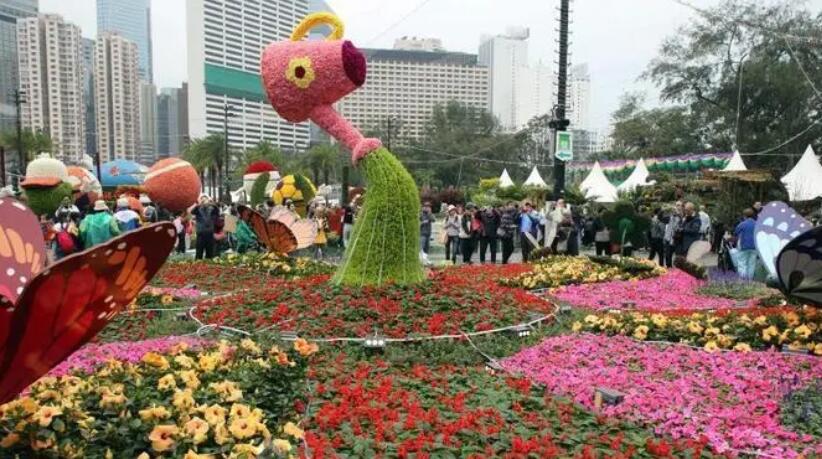 花展花卉重新栽種計劃接受申請