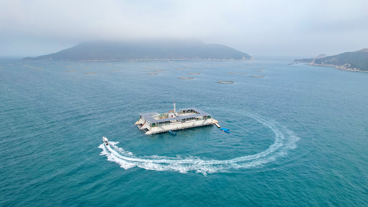 有片 | 登上「澎湖號」 去看霍啟剛關注的新能源海洋牧場平臺