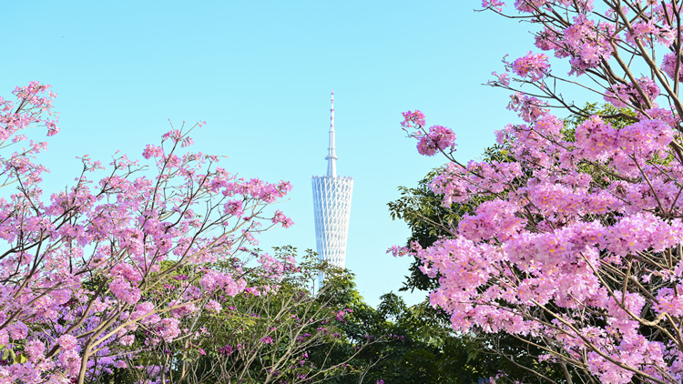 廣東自然教育基地增至135家