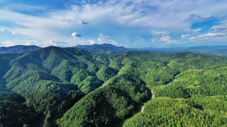 廣東出臺(tái)深化集體林權(quán)制度改革實(shí)施方案