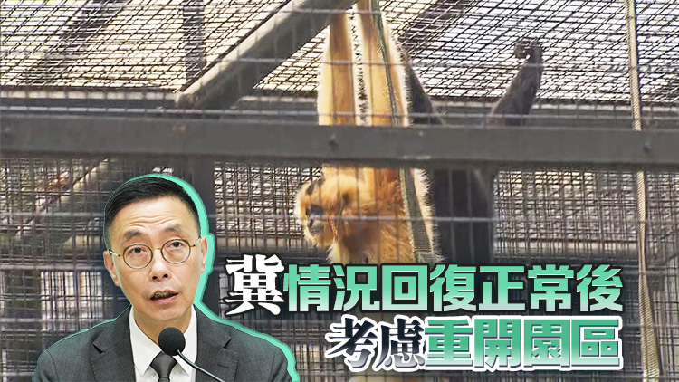 楊潤雄：隔離的猴子表現異常 正接受醫療程序